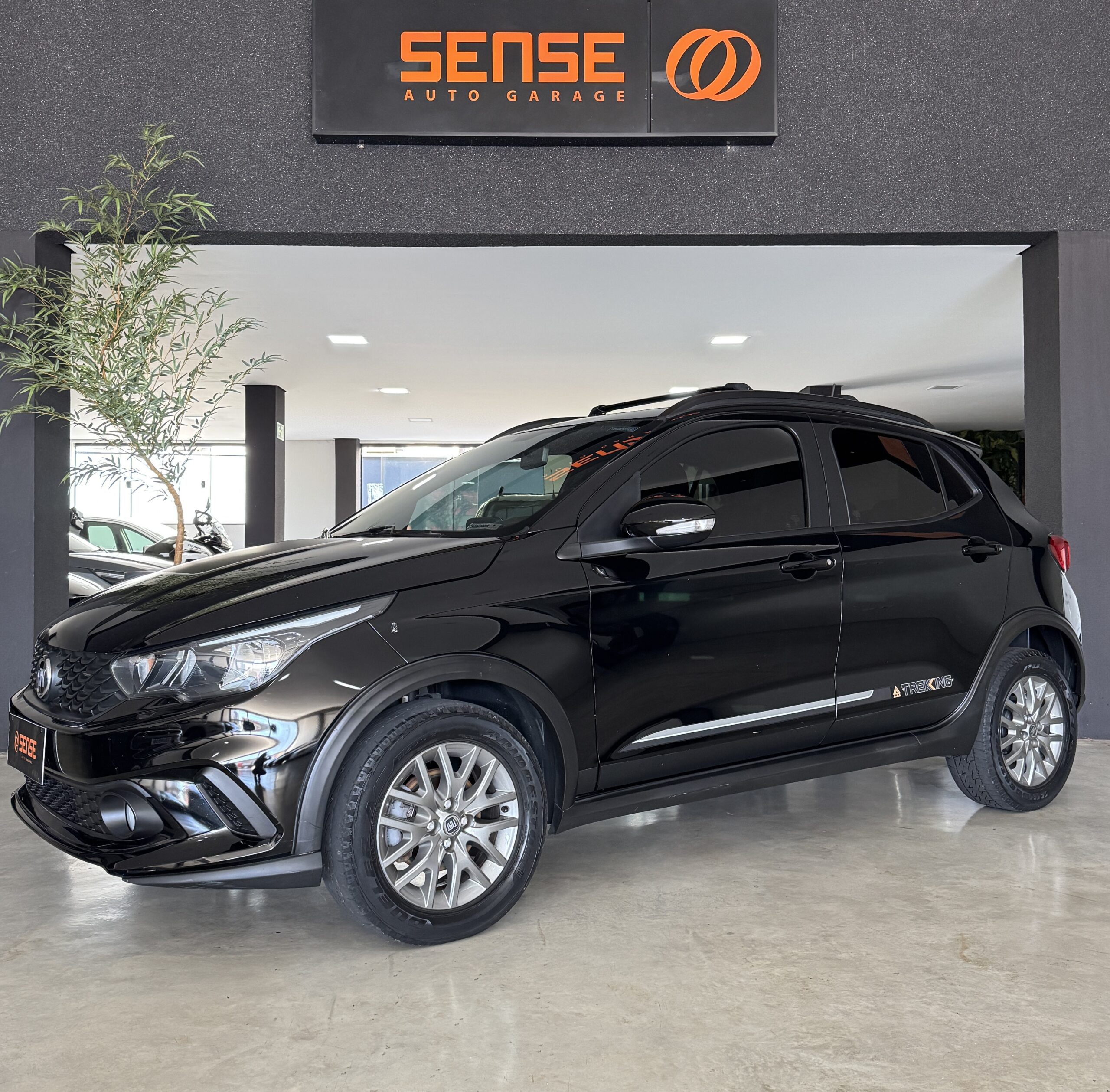 Fiat argo trekking 1.3 2020